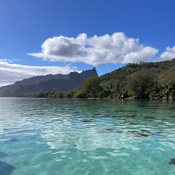 Meet your Posher, Maria - Picture 1 of 1